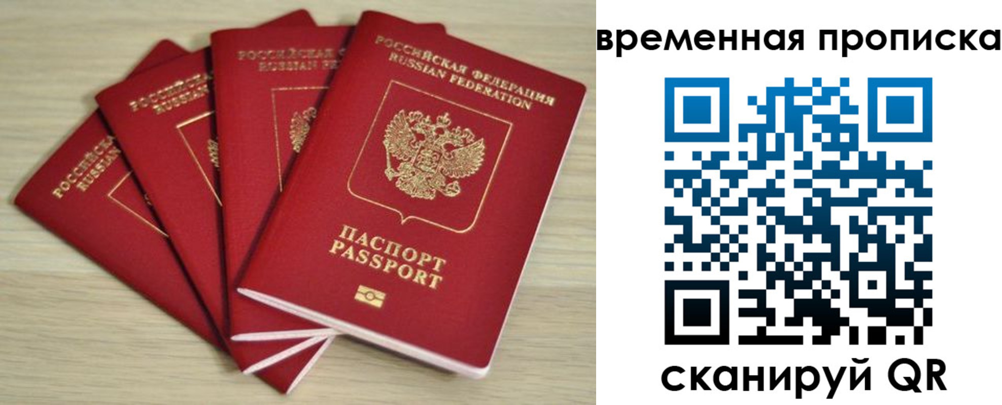 прописка для школы в Пугачёве